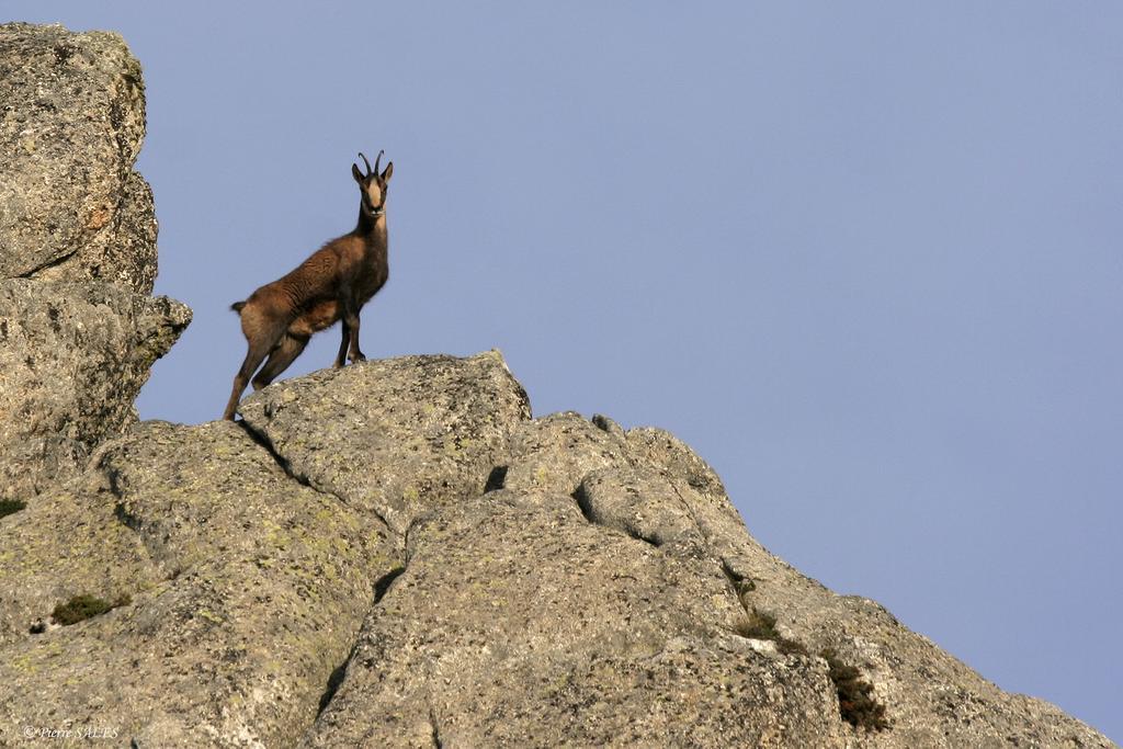 Vvf Pyrenees Canigou พรัตส์-เดอ-โมลโล-ลา-แพรสต์ ภายนอก รูปภาพ